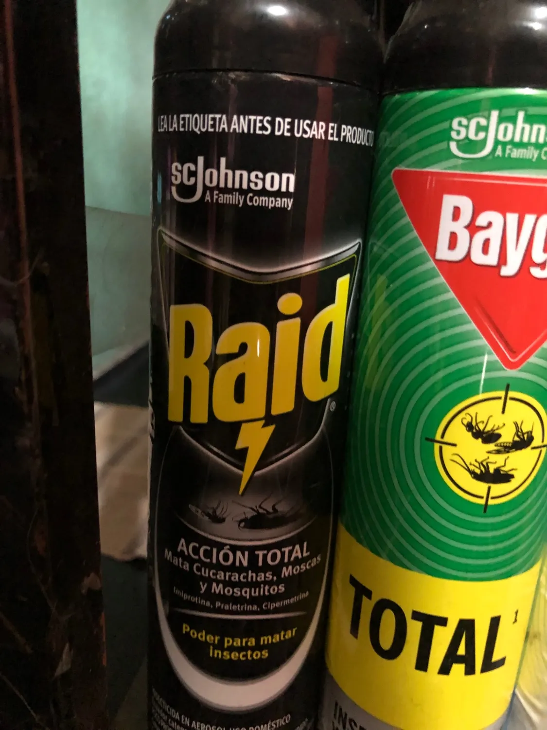 Raid