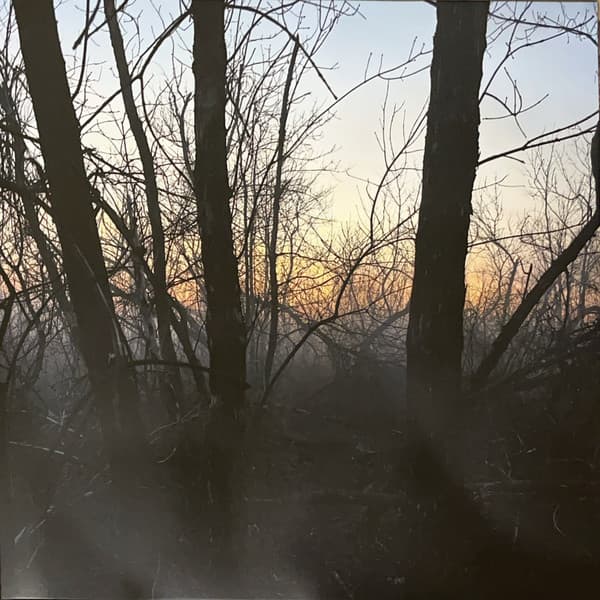 Various - Revenge Group